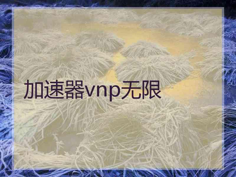加速器vnp无限