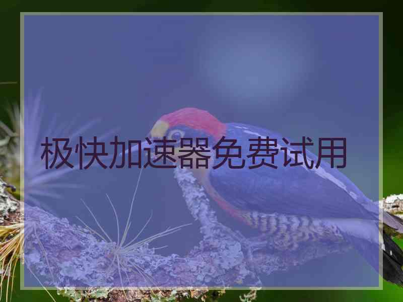 极快加速器免费试用