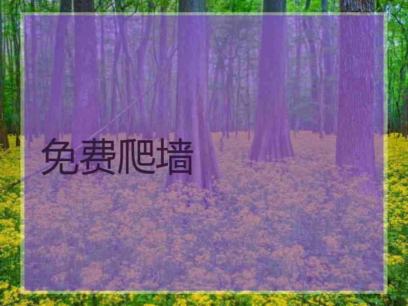 免费爬墙