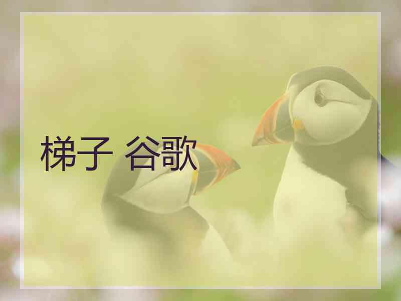 梯子 谷歌