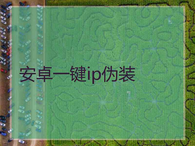 安卓一键ip伪装