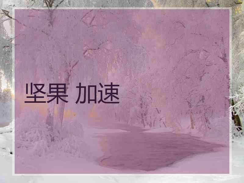 坚果 加速