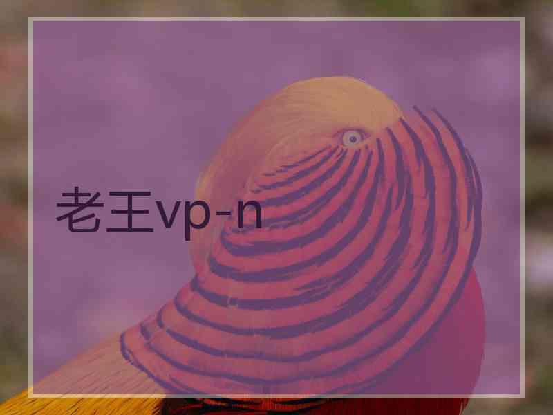 老王vp-n