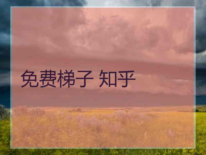 免费梯子 知乎