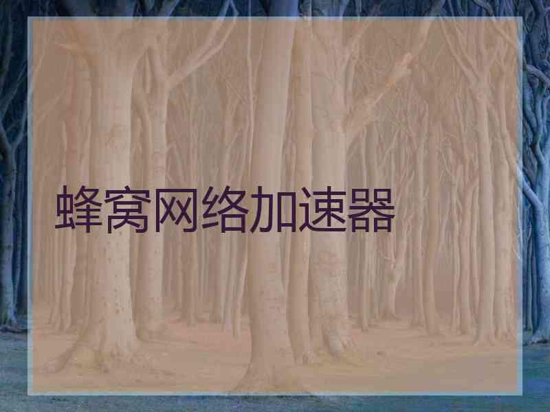 蜂窝网络加速器