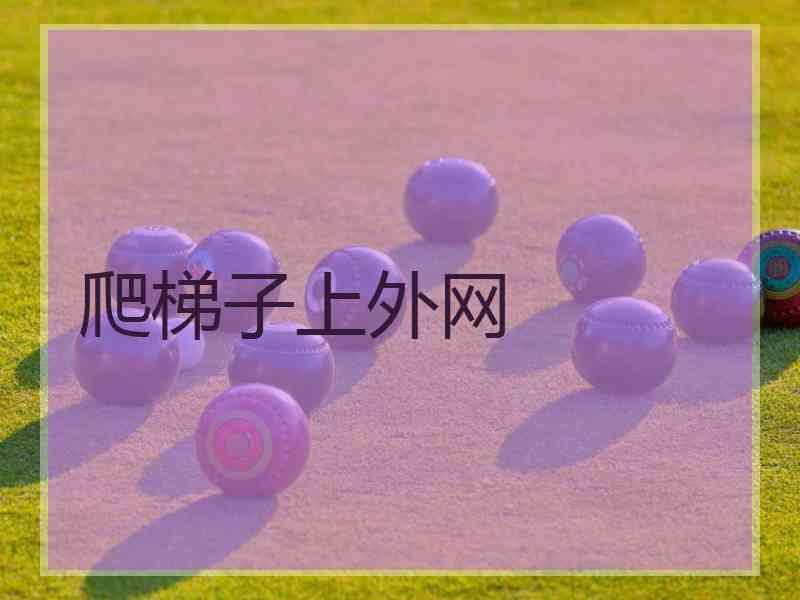爬梯子上外网