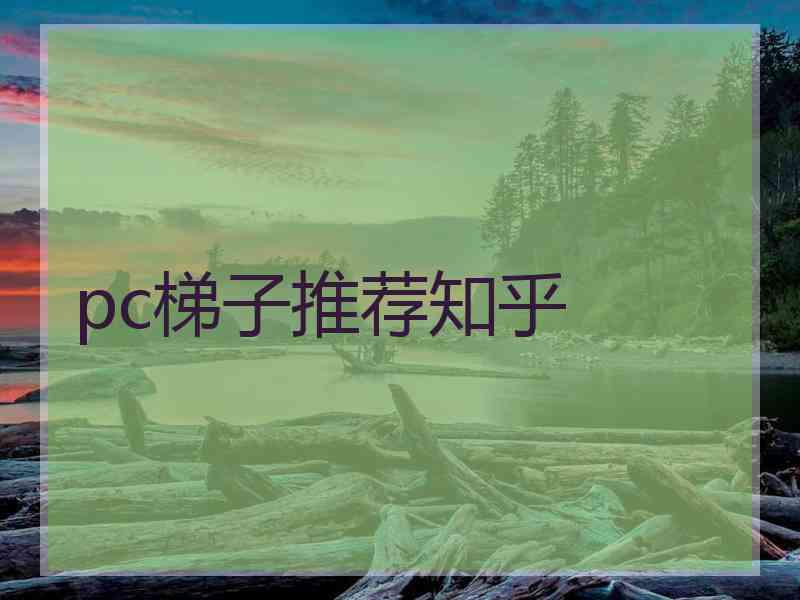 pc梯子推荐知乎