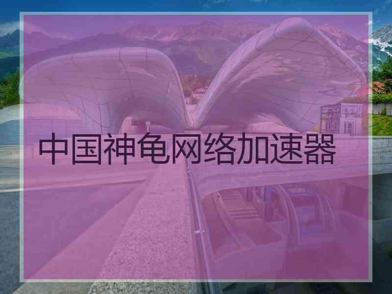 中国神龟网络加速器