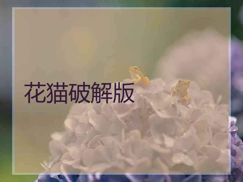 花猫破解版