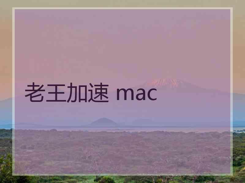 老王加速 mac