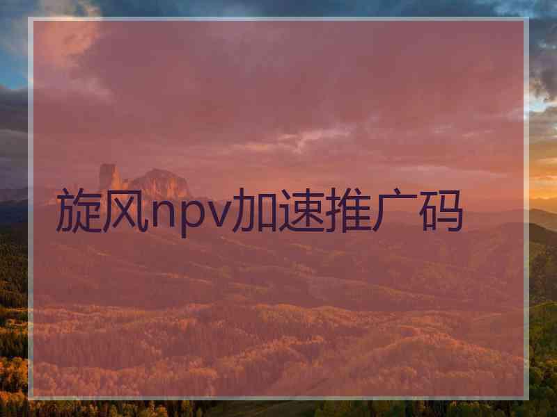 旋风npv加速推广码
