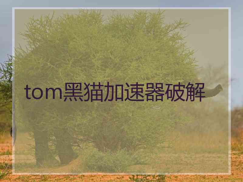 tom黑猫加速器破解