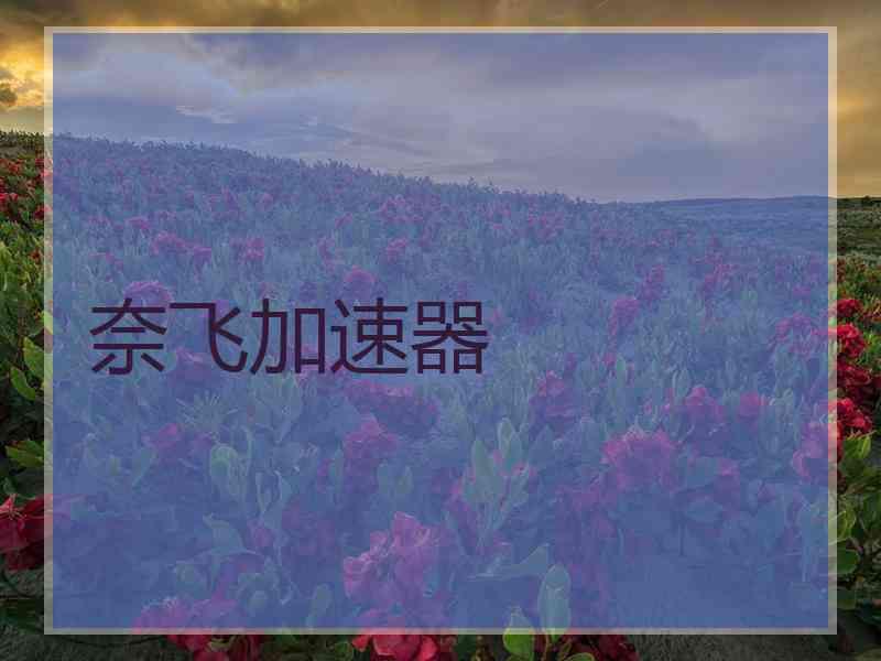 奈飞加速器