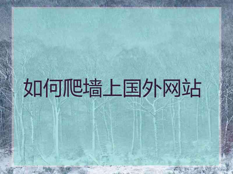 如何爬墙上国外网站