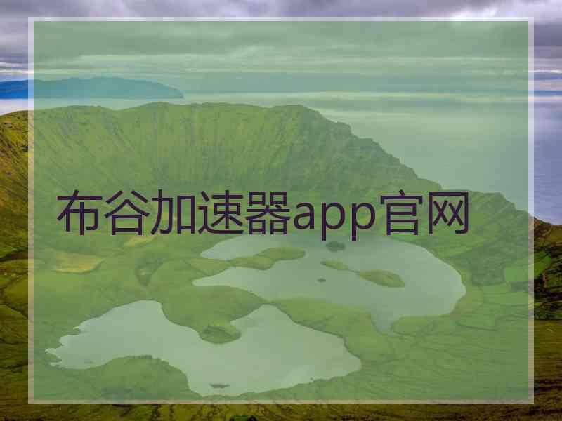 布谷加速器app官网