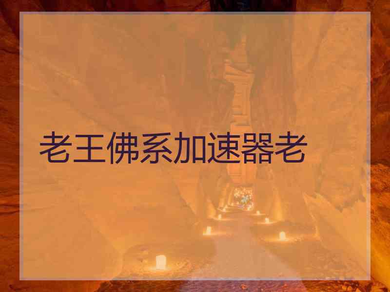 老王佛系加速器老