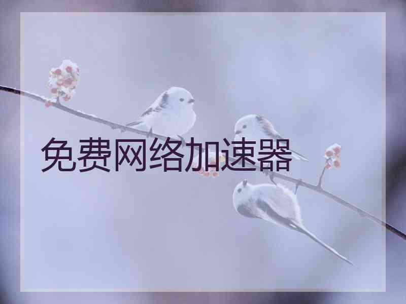 免费网络加速器