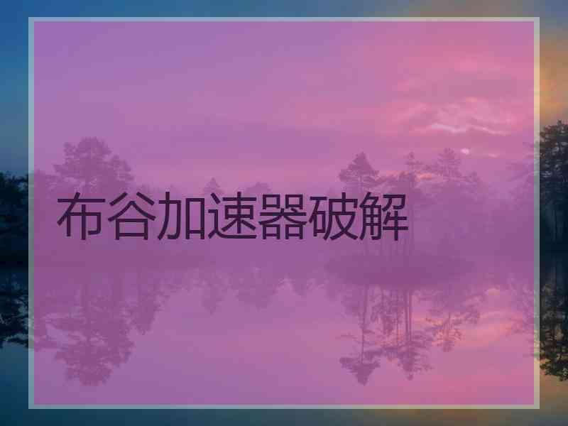 布谷加速器破解