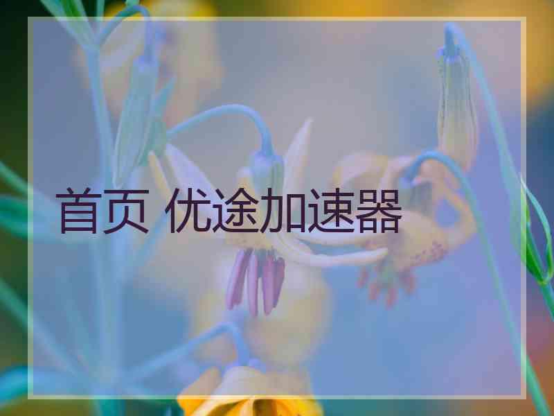 首页 优途加速器