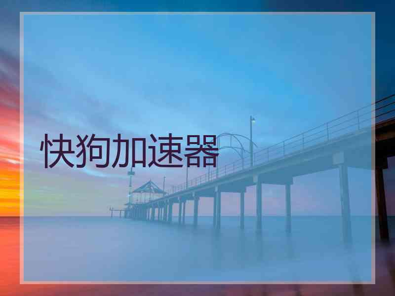 快狗加速器