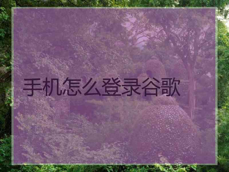 手机怎么登录谷歌