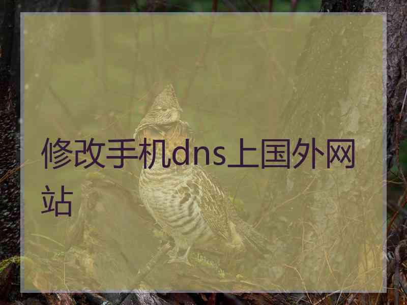 修改手机dns上国外网站