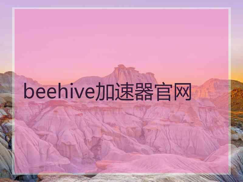 beehive加速器官网
