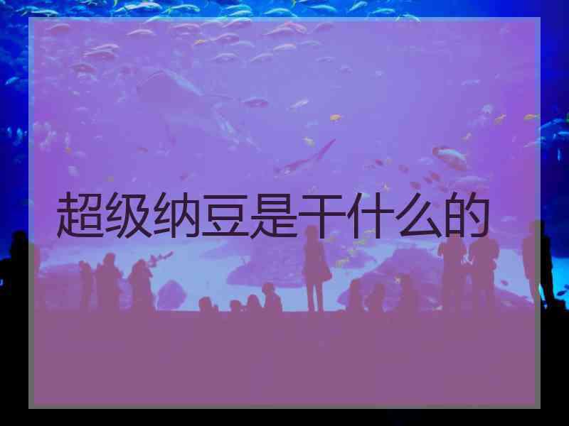 超级纳豆是干什么的