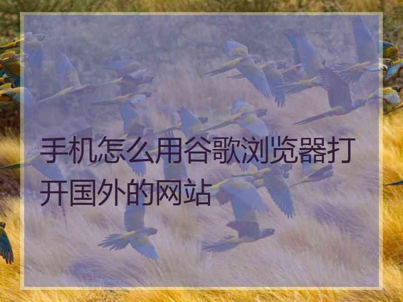 手机怎么用谷歌浏览器打开国外的网站