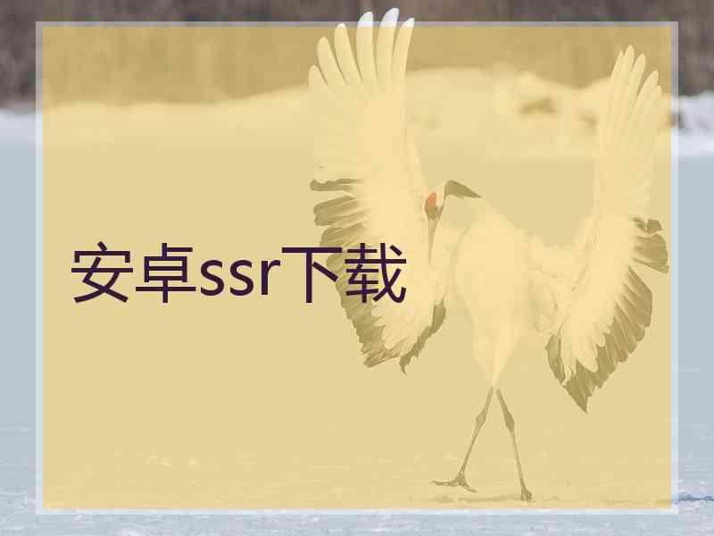 安卓ssr下载