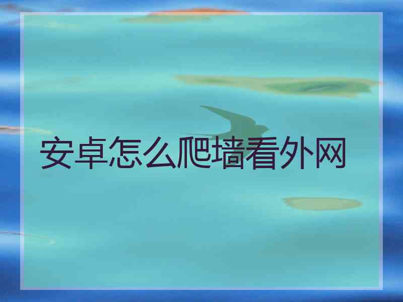 安卓怎么爬墙看外网