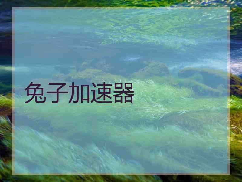 兔子加速器