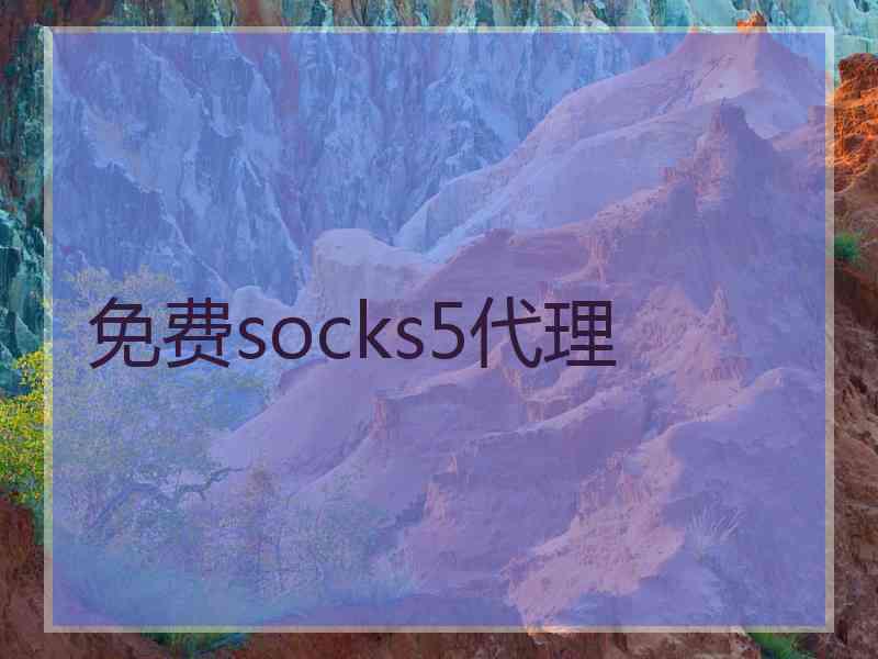免费socks5代理