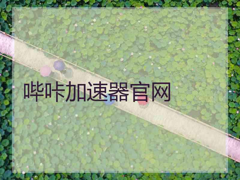 哔咔加速器官网