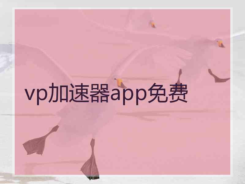 vp加速器app免费