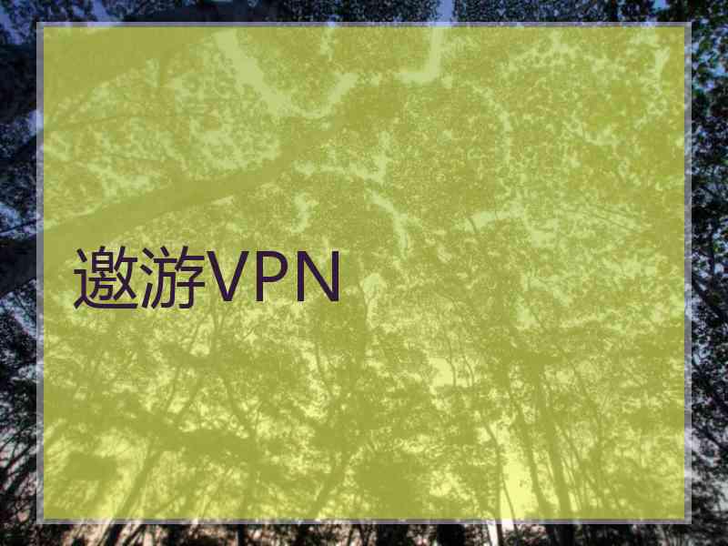 邀游VPN