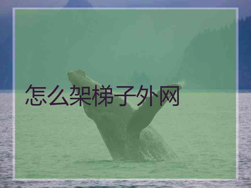 怎么架梯子外网
