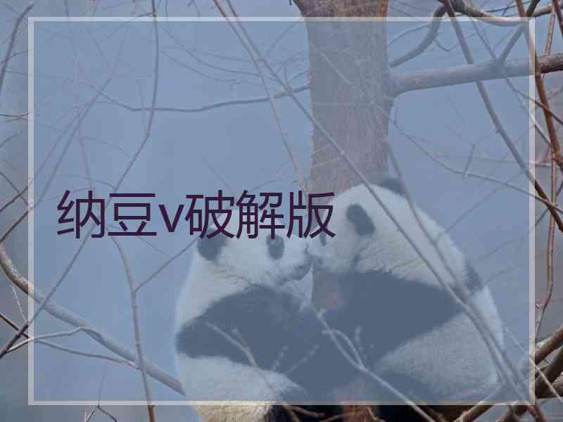 纳豆v破解版