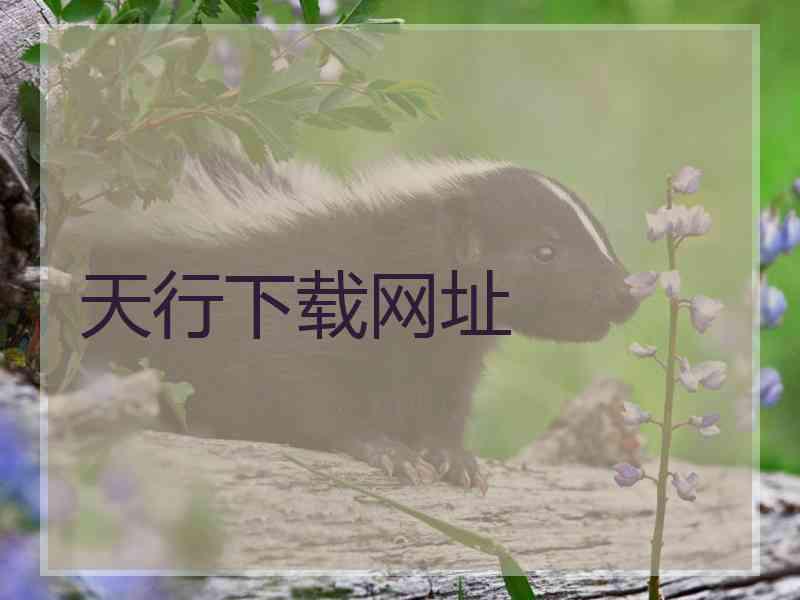 天行下载网址