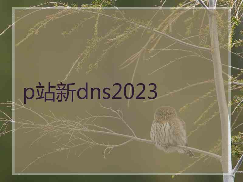 p站新dns2023