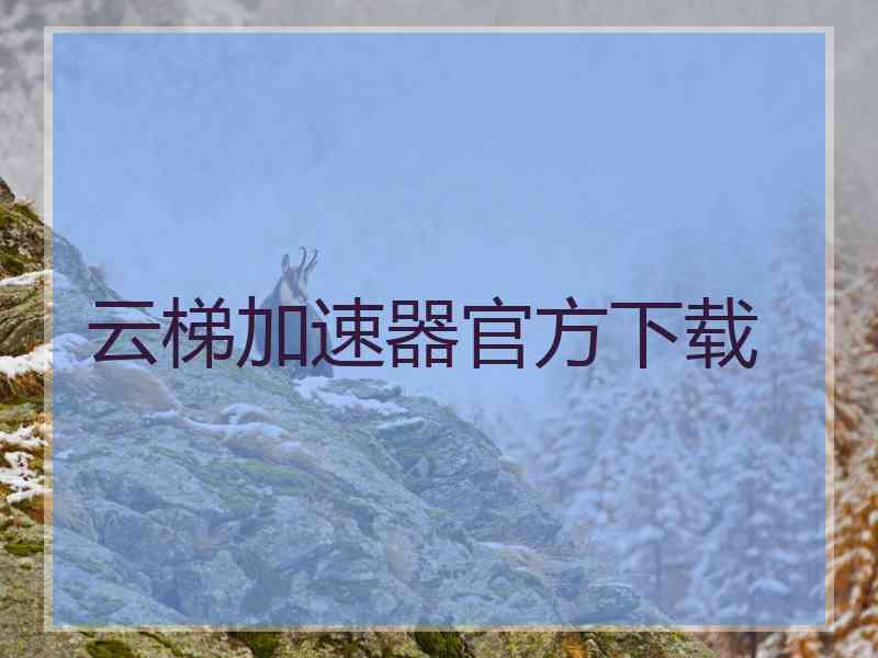 云梯加速器官方下载