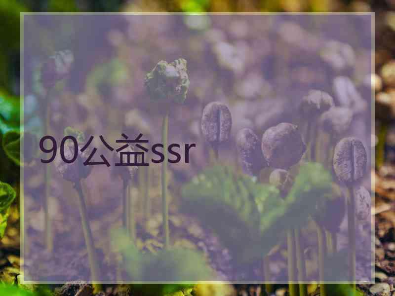 90公益ssr
