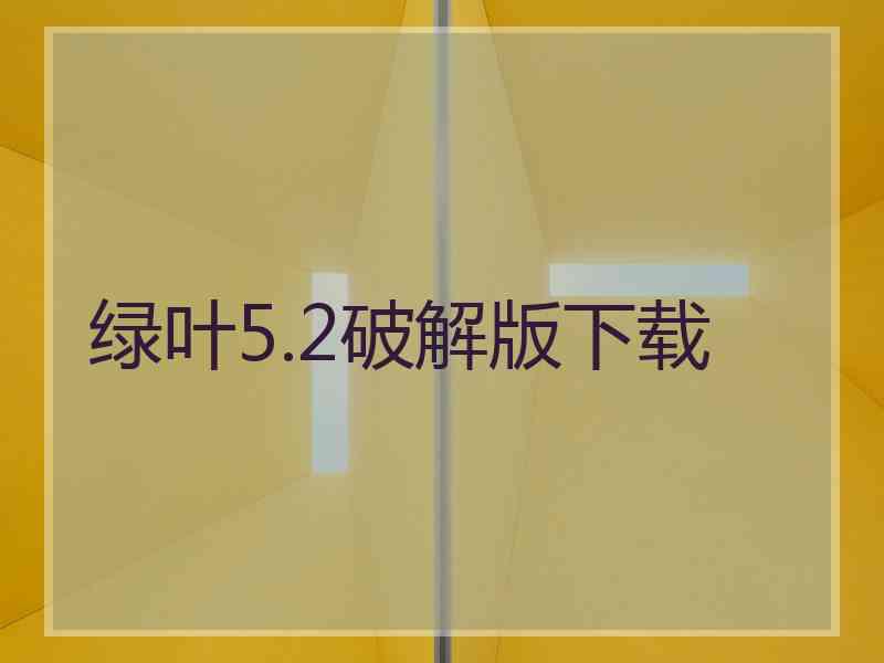 绿叶5.2破解版下载