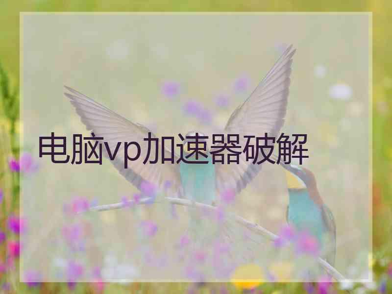 电脑vp加速器破解