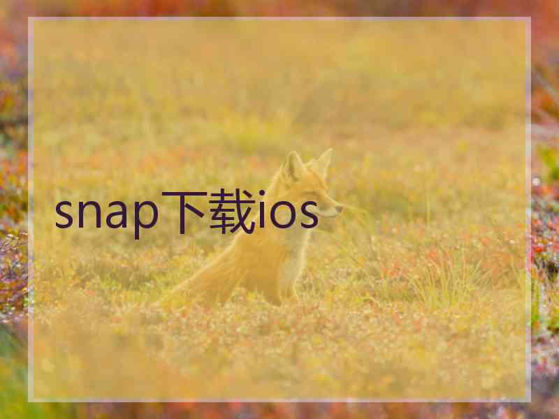 snap下载ios