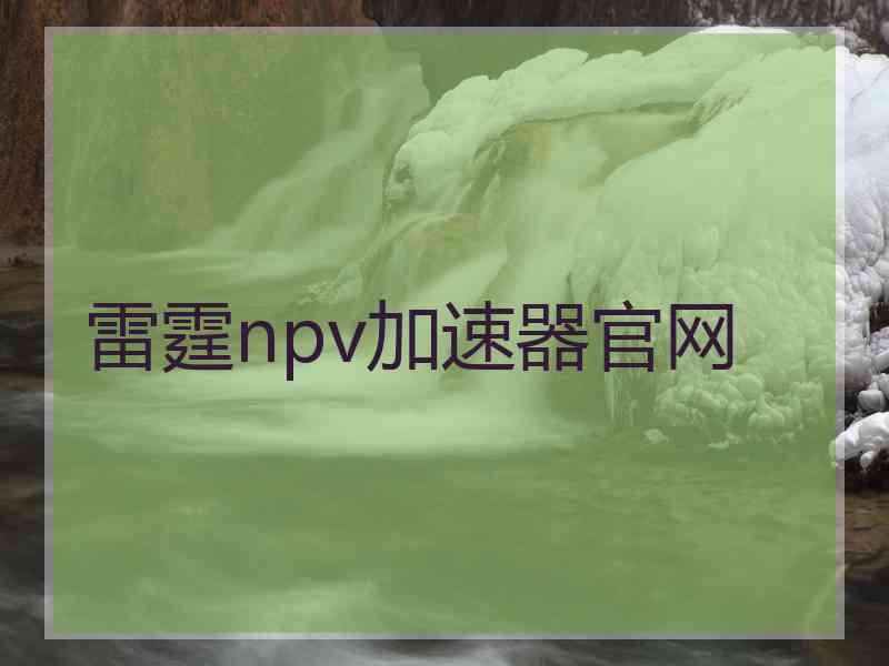 雷霆npv加速器官网