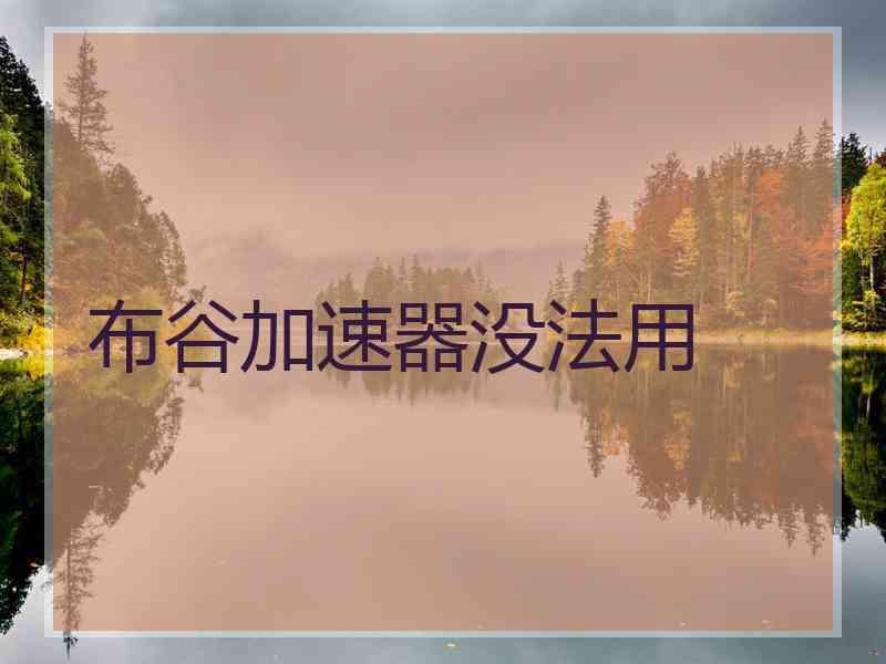 布谷加速器没法用