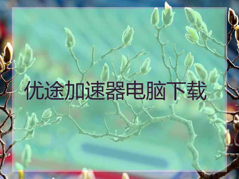 优途加速器电脑下载