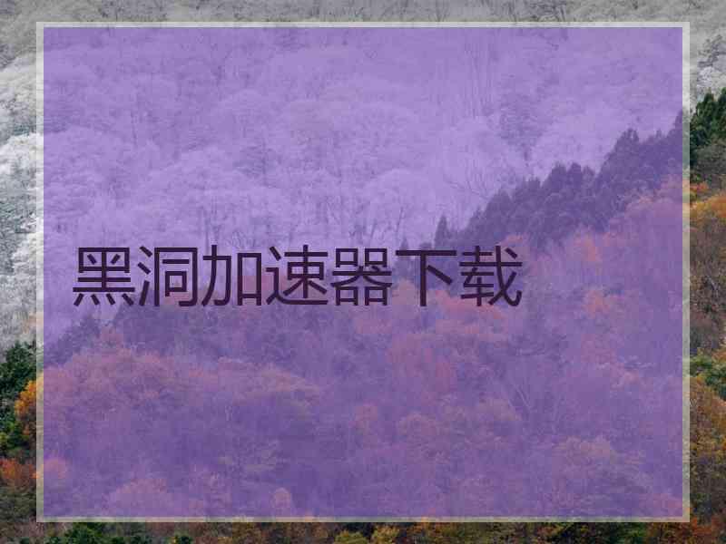 黑洞加速器下载