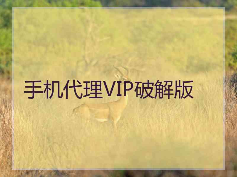 手机代理VIP破解版